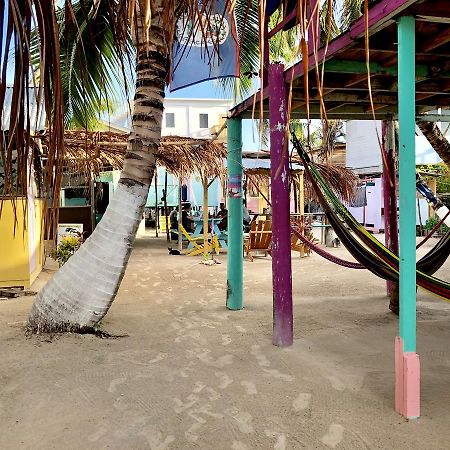 Tropical Oasis Vandrarhem Caye Corker Exteriör bild