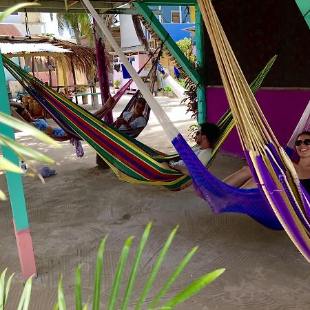 Tropical Oasis Vandrarhem Caye Corker Exteriör bild