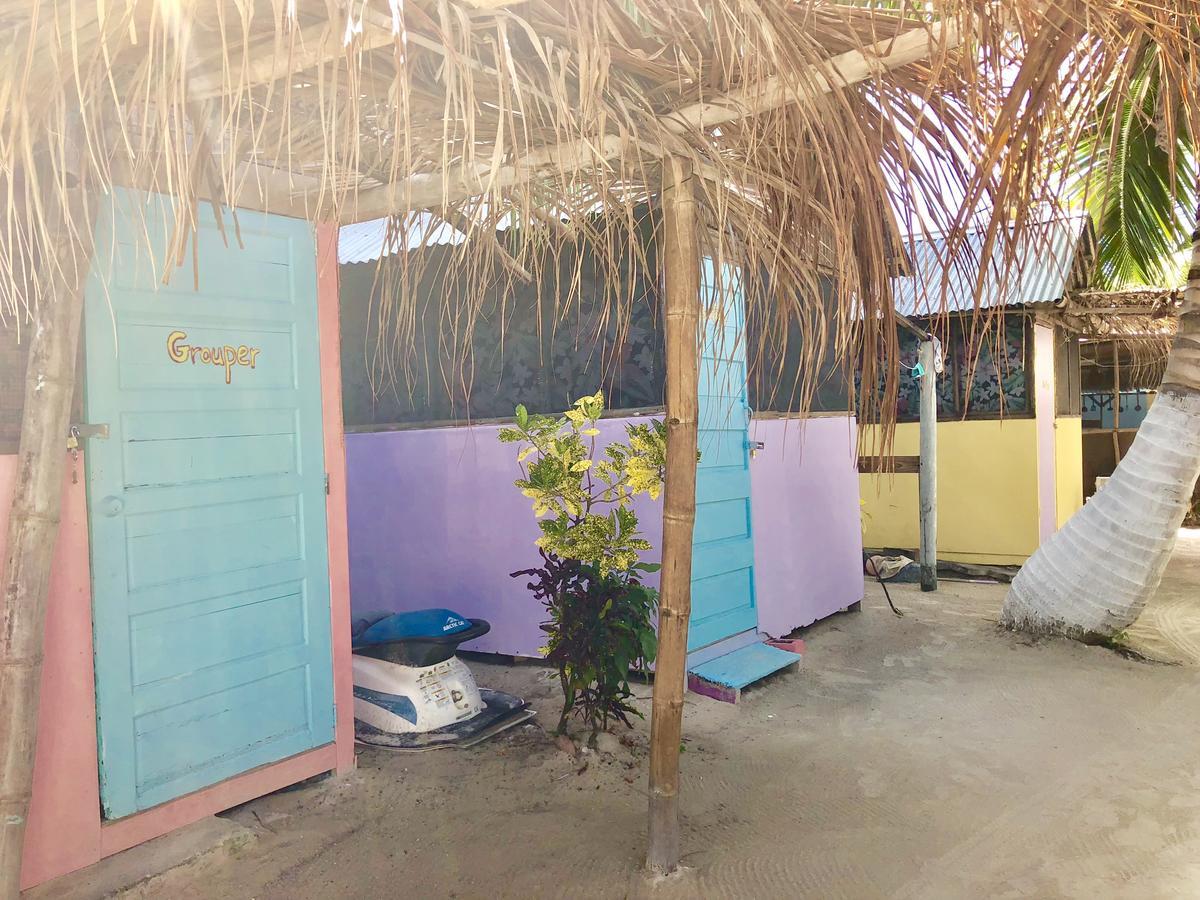 Tropical Oasis Vandrarhem Caye Corker Exteriör bild