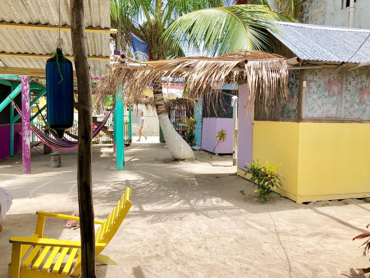 Tropical Oasis Vandrarhem Caye Corker Exteriör bild
