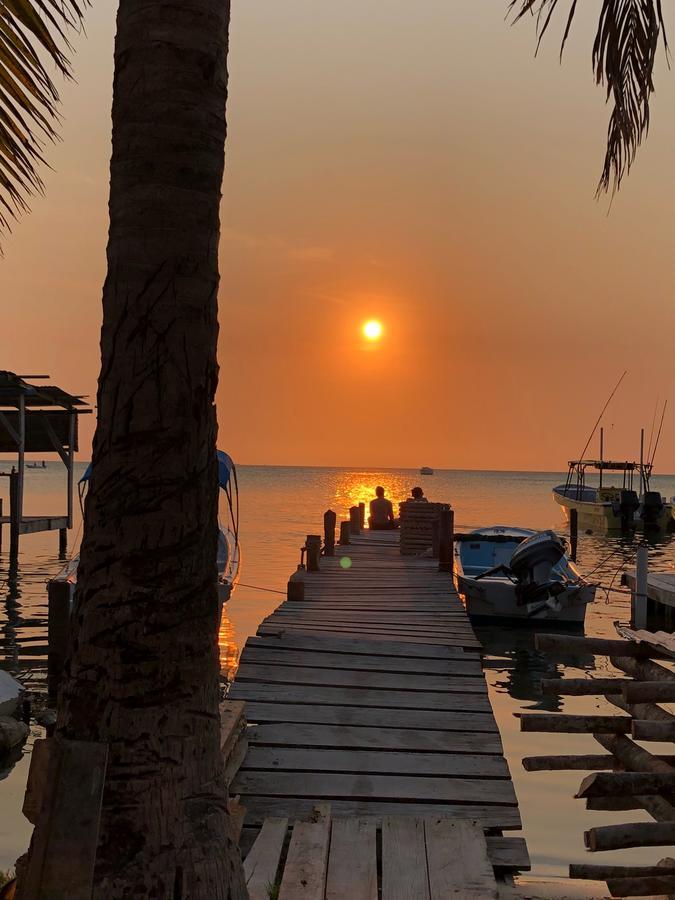 Tropical Oasis Vandrarhem Caye Corker Exteriör bild