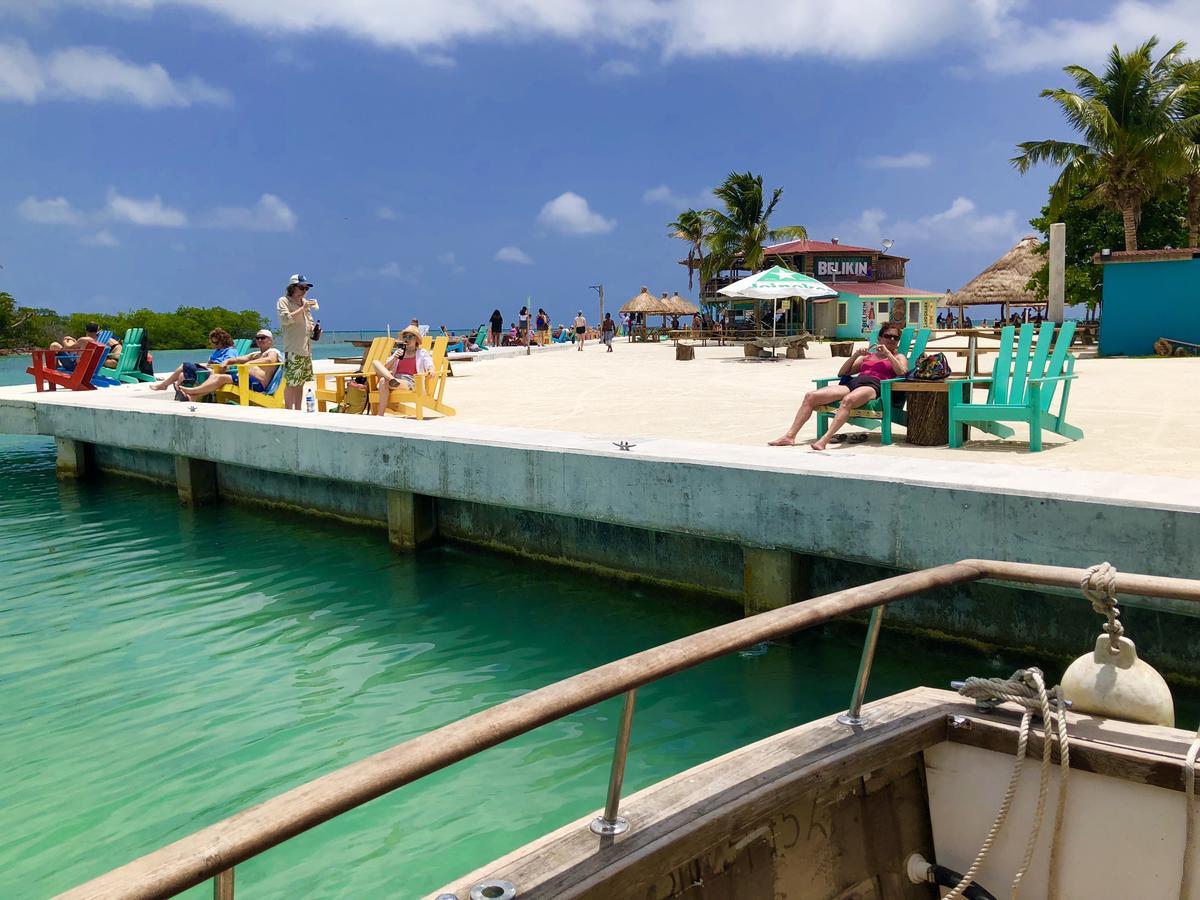 Tropical Oasis Vandrarhem Caye Corker Exteriör bild